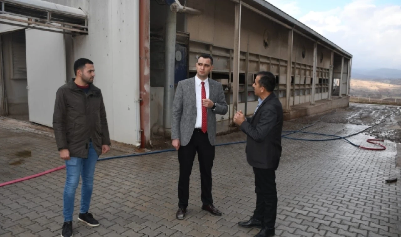 Kaymakam Büyükkaymakçı Yumurta ve Yem Fabrikalarında
