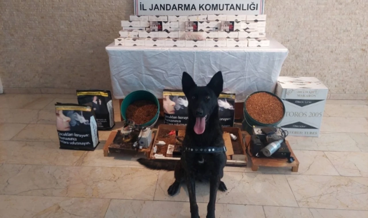 Amasya'da 20 bin adet kaçak makaron ele geçirildi