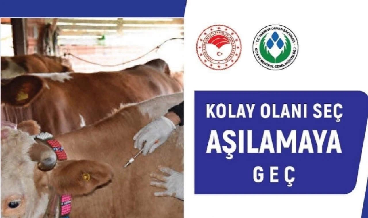 Bakanlıktan Ücretsiz Aşı Uygulaması Başladı!
