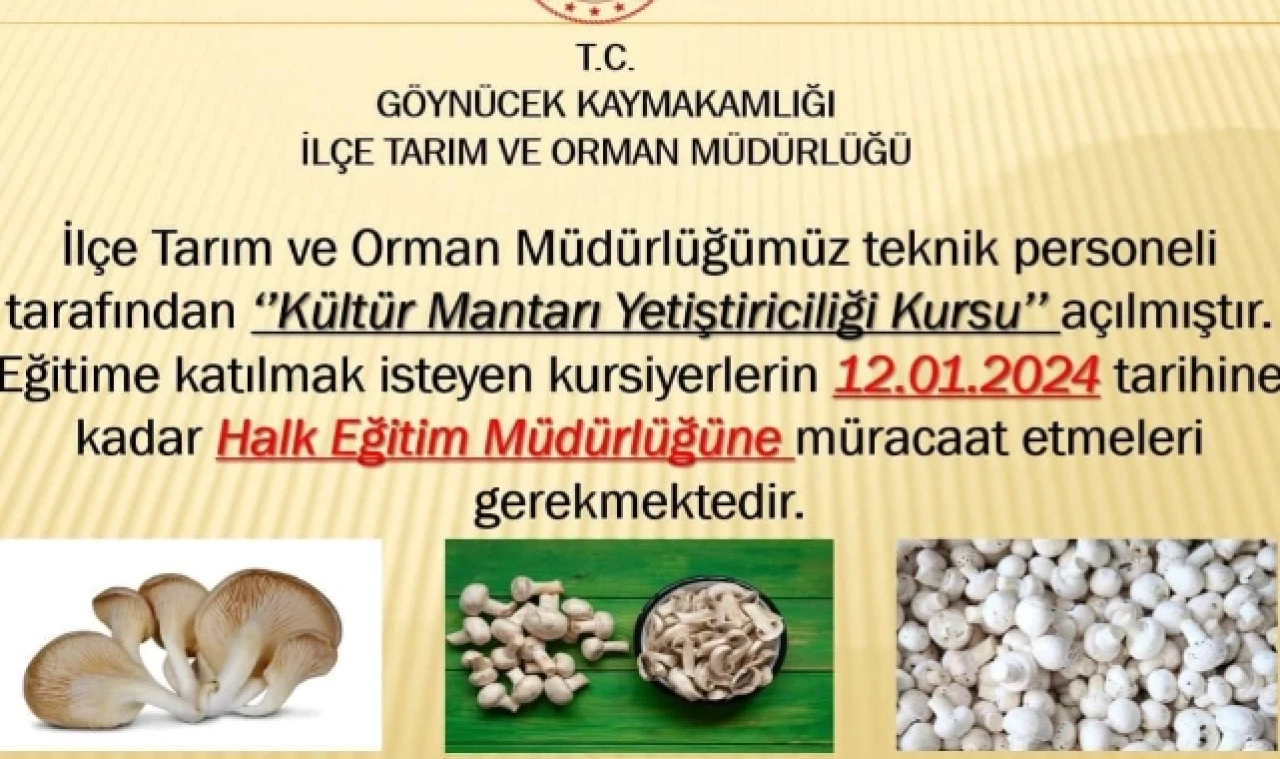 Kültür Mantarı Yetiştiriciliği Kursu Açıldı