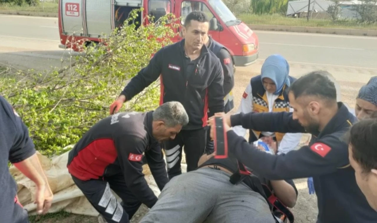 Tokat'ta virajı alamayarak ağaca çarparak durabildi