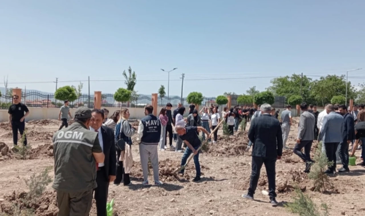 Fakülte bahçesi yeşilleniyor