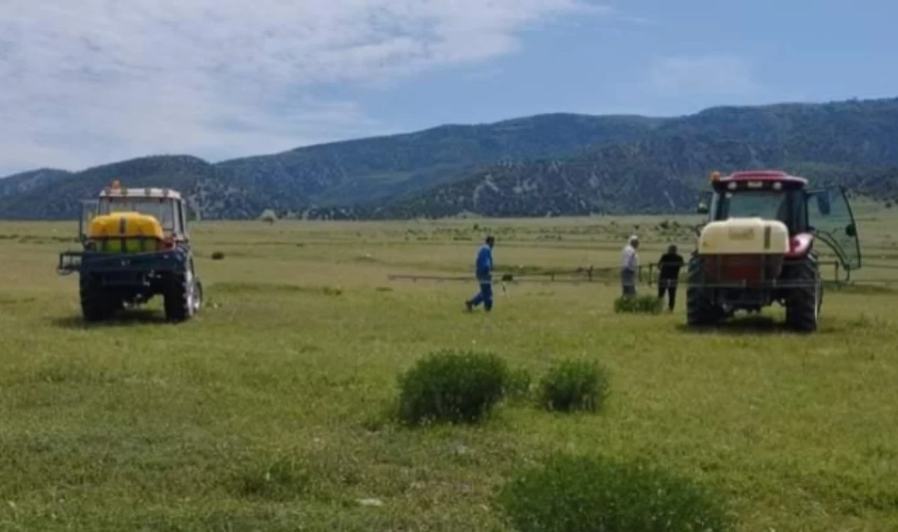 Mera Alanlarında Çekirge Mücadelesi Yapıldı