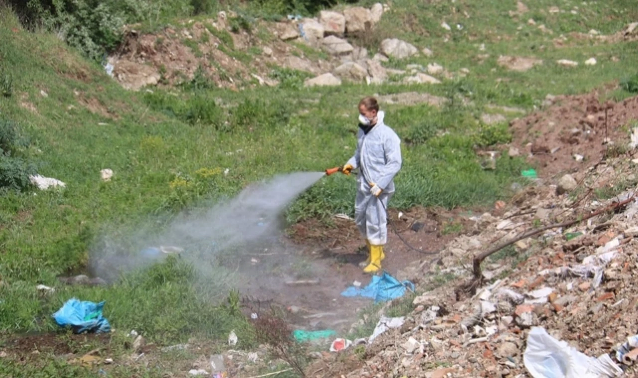 Merzifon Belediyesi’nden Larvasit İlacı Uygulaması