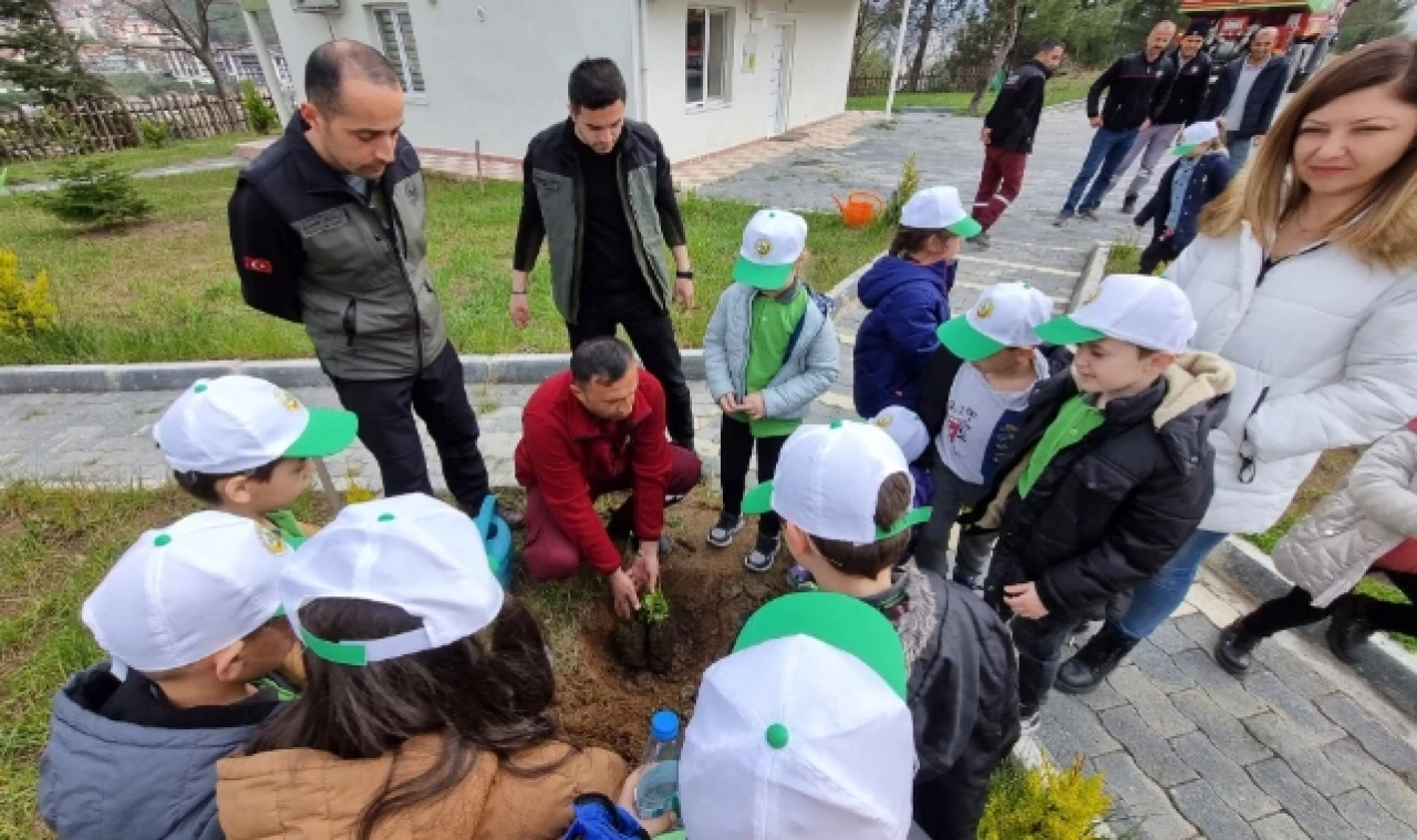 Taşova'da Minikler Fidanları Toprakla Buluşturdular