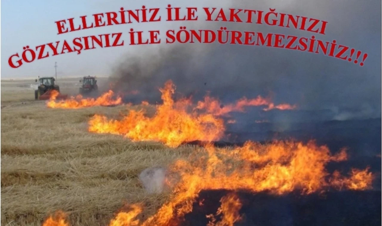 Amasya'da 108 anız yangını meydana geldi