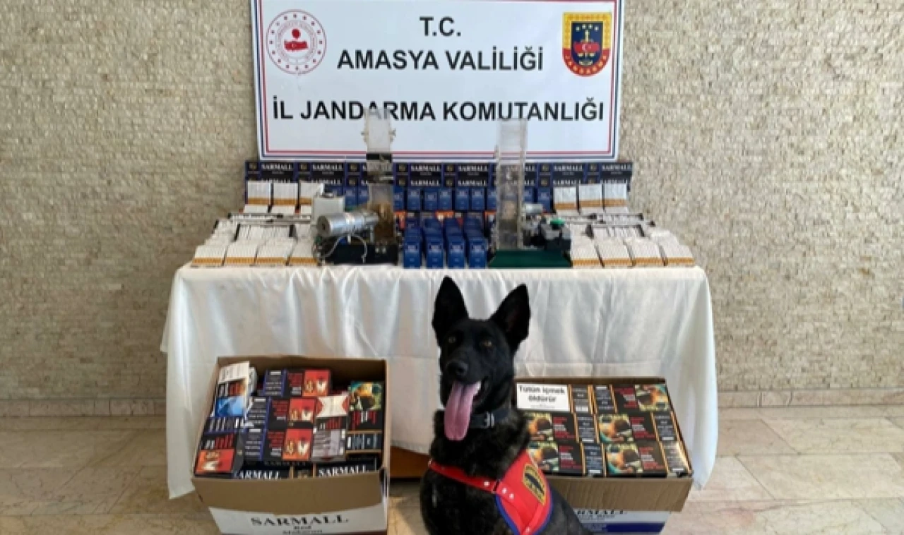 Amasya’da 18 bin 670 dal içi tütün doldurulmuş makaron ele geçirildi