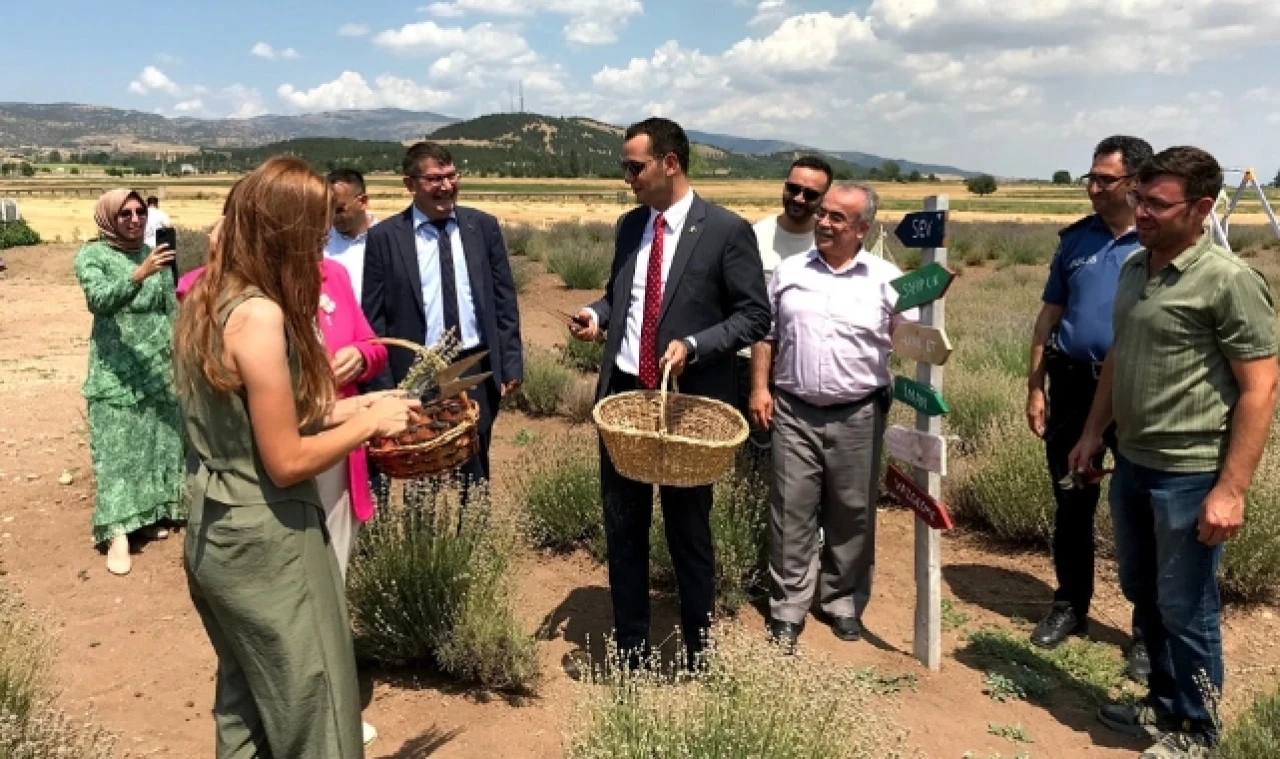 Hökelek, Lavanta Hasat Şenliği'ne Katıldı