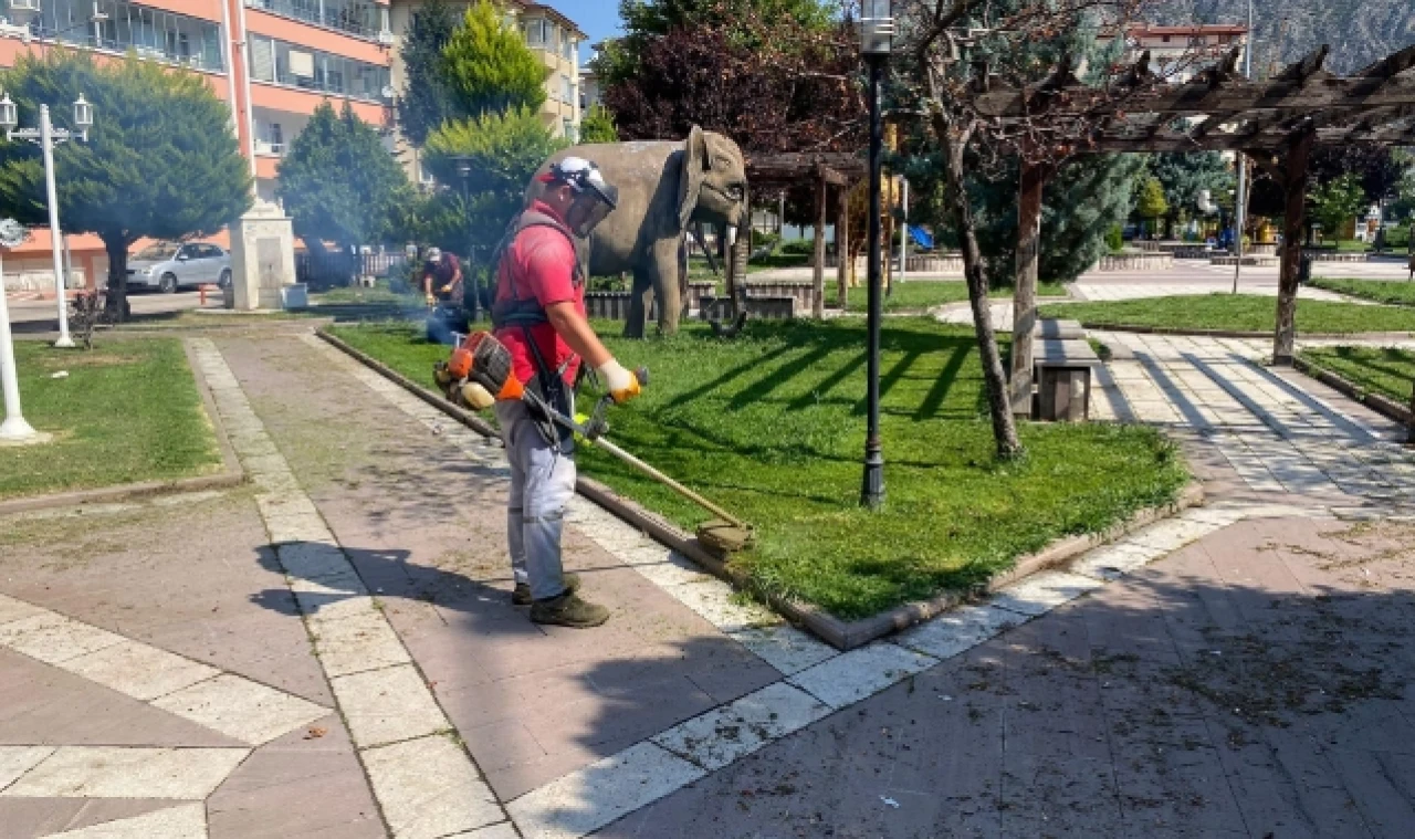 Amasya’da Yabani Otlar Temizlendi