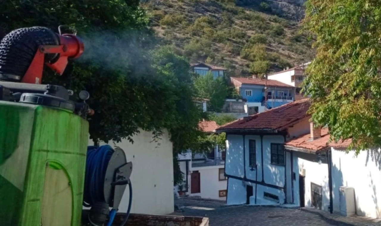 Amasya’nın sivrisinek ve karasinek mücadelesi sürüyor