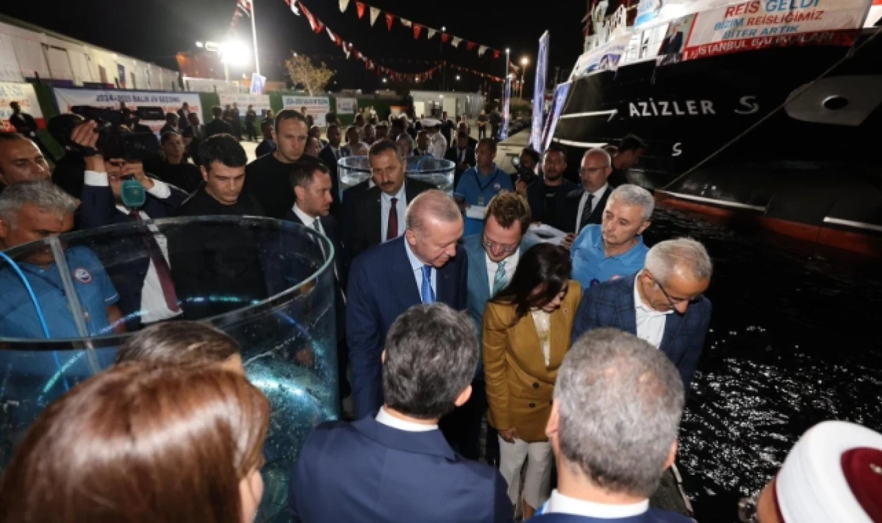 Suluova'da yetiştirilen 500 Karaca Mersin Balığı İstanbul'da denize bırakıldı