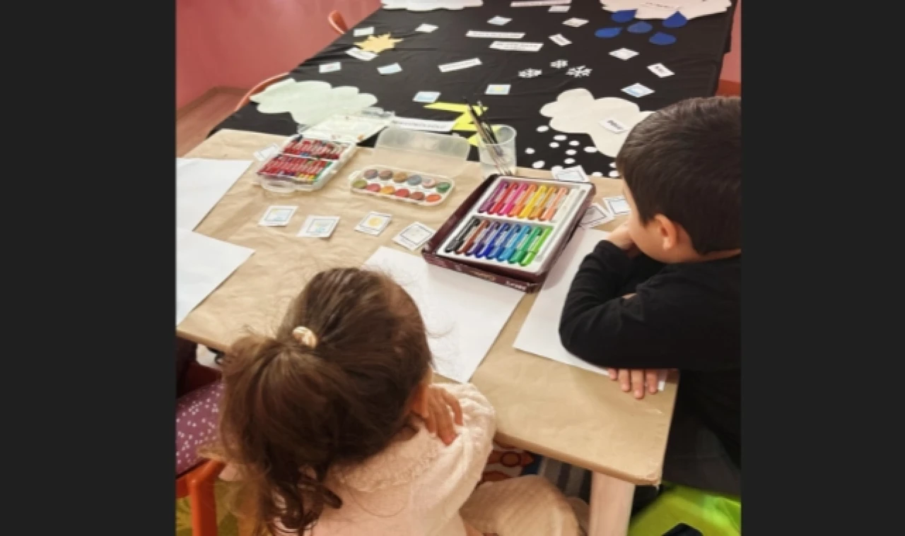 Duyduklarını Çizdiler
