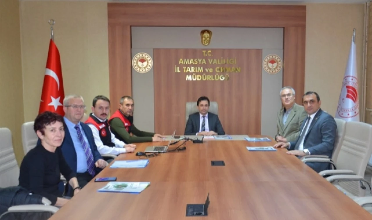 Kahverengi Kokarca ile Mücadele Çalışmaları Görüşüldü