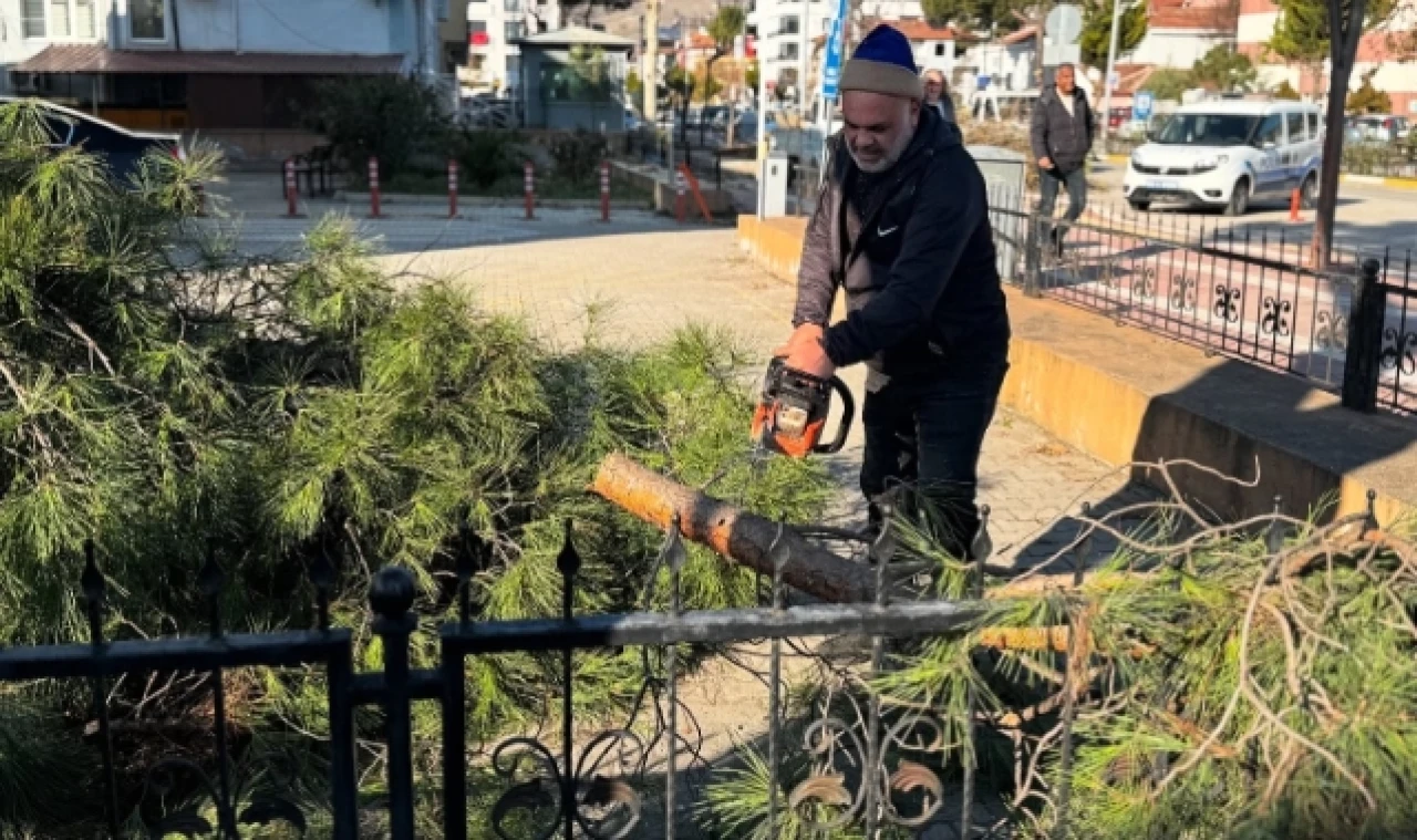 Taşova Belediyesi Çalışmalarına Devam Ediyor
