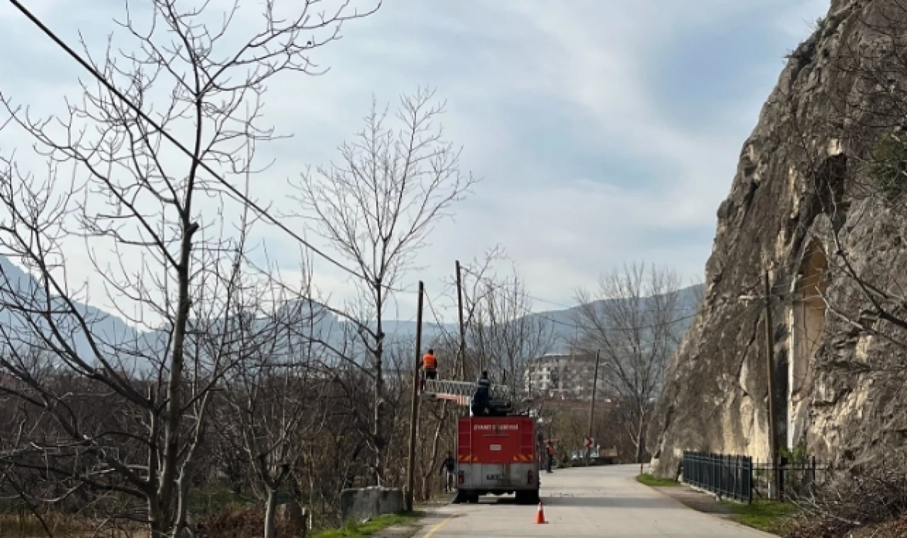Ziyaret Beldesi'nde ağaçlar budanıyor