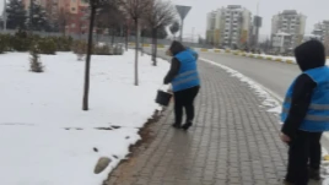Doğa Hayvanları Unutulmadı