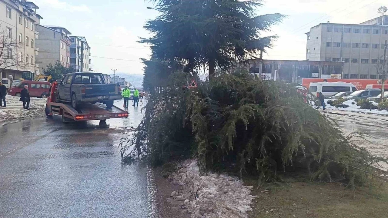 Kontrolden çıkan pikap ağaca çarptı: 1 yaralı