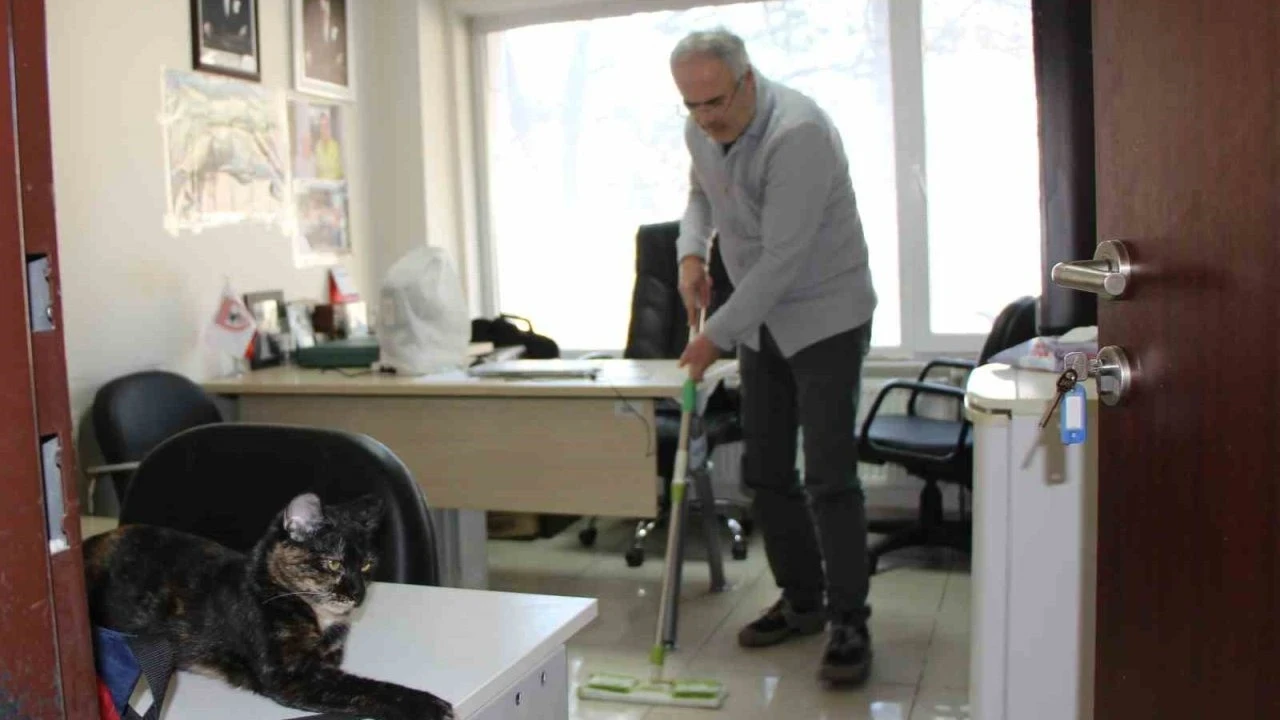 Kedi dostu profesör: Çalışma odasını kedileriyle paylaştı, her gün silip süpürüyor
