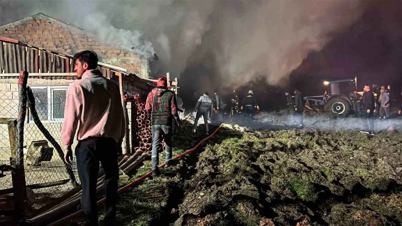 Ahır ve samanlık alev alev yandı