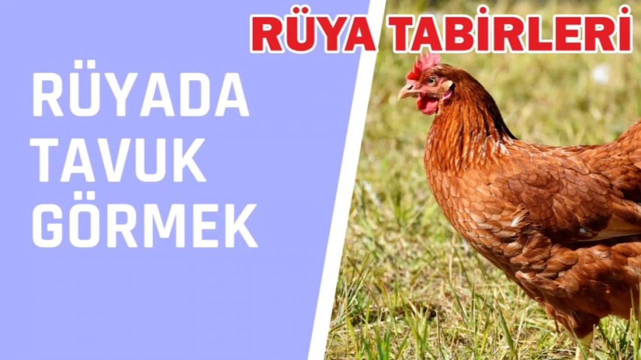 Rüyada Tavuk Görmek Ne Anlama Geliyor?
