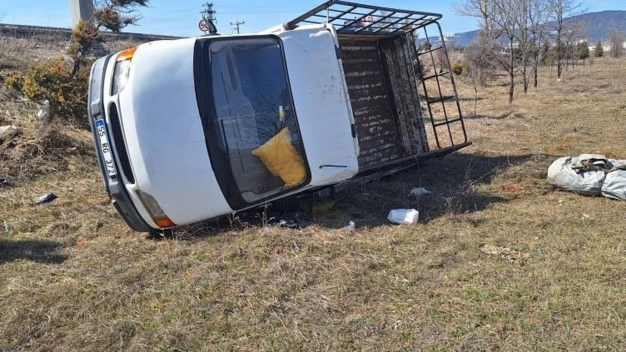 Yoldan çıkan kamyonet tarlaya uçtu: 2 yaralı