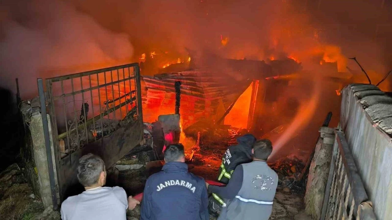 İki katlı ahşap ev yandı, iki büyükbaş hayvan telef oldu