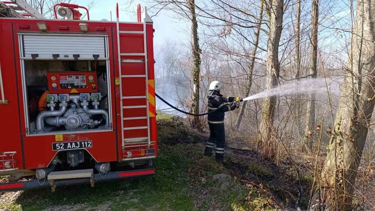 Bahçe ve anız yangınları arttı