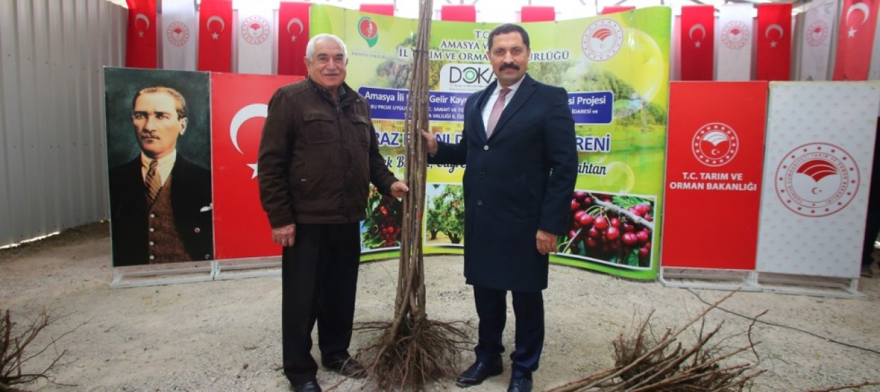 22 BİN 200 ADET KİRAZ FİDANI DAĞITILDI