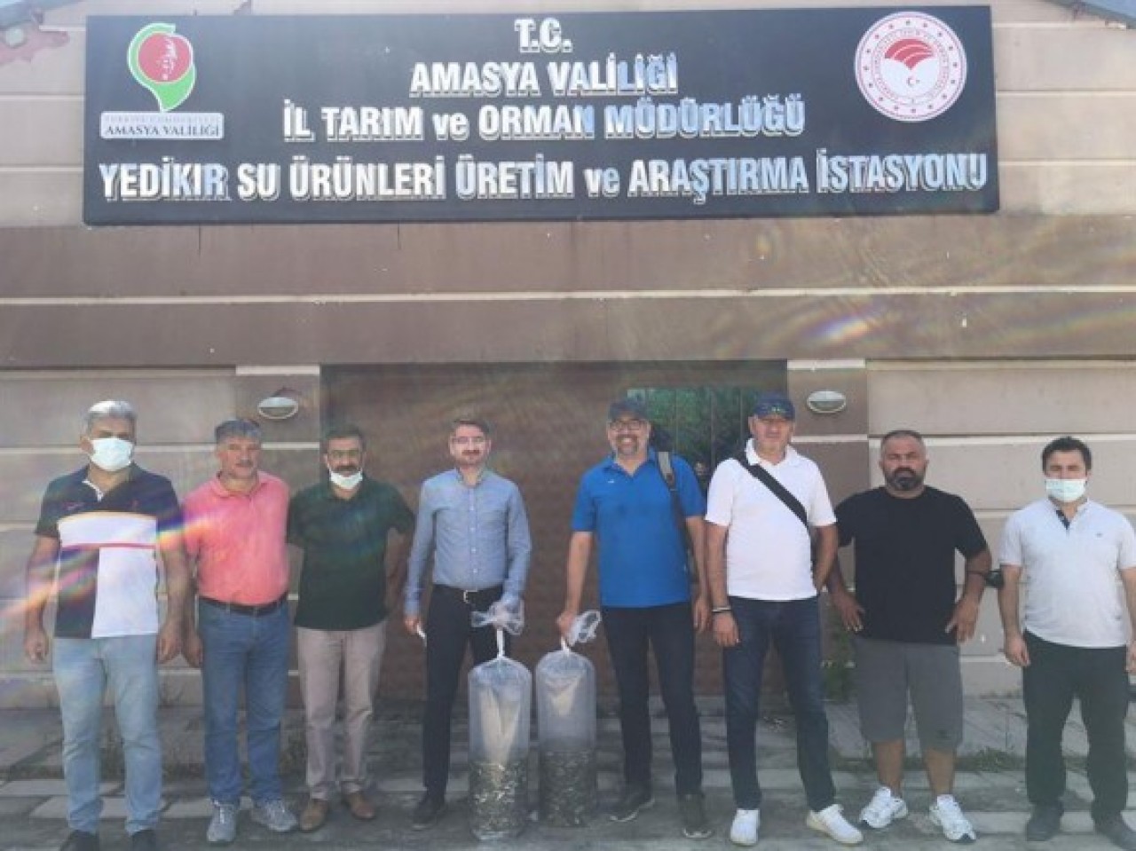 43 SU KAYNAĞINA 2,5 MİLYON YAVRU SAZAN BALIĞI BIRAKILACAK
