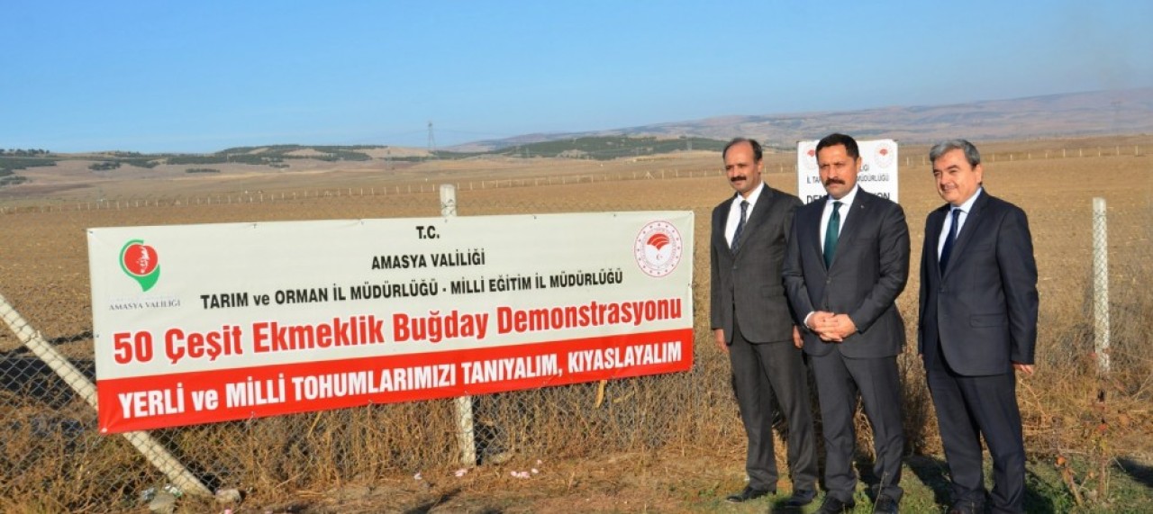 50 ÇEŞİT YERLİ VE MİLLİ TOHUM TOPRAKLA BULUŞTU
