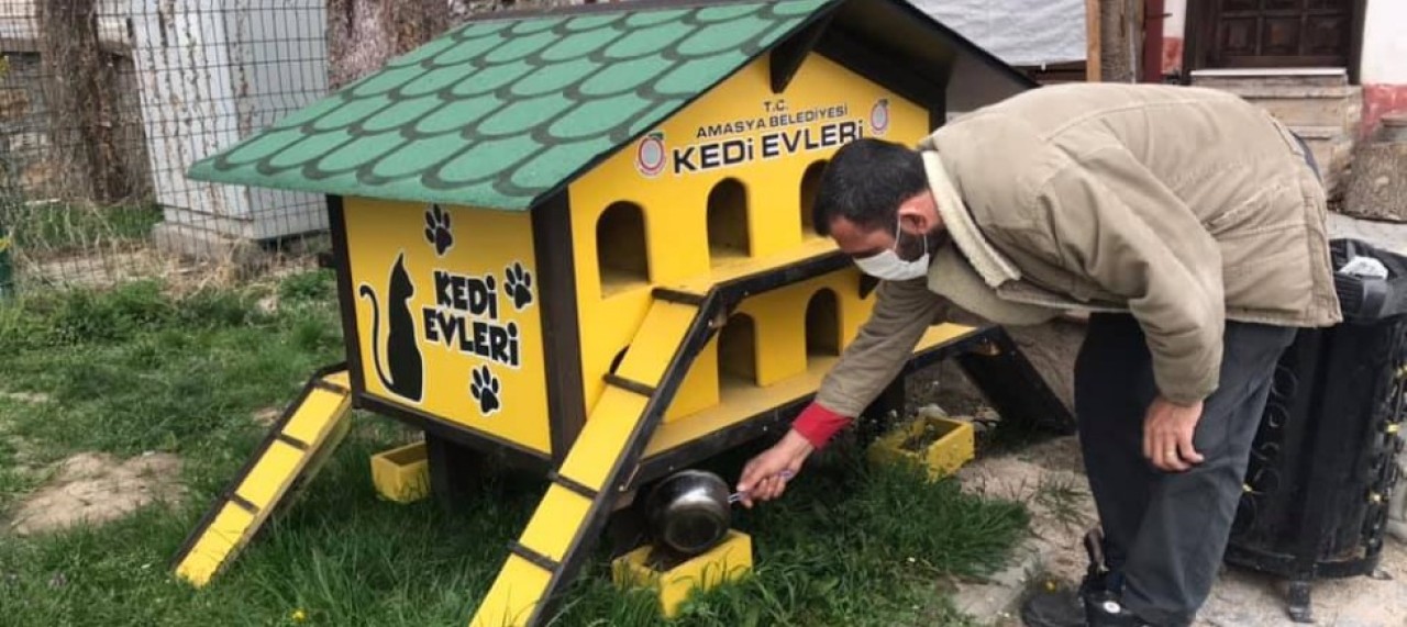 50 FARKLI NOKTAYA 50 KEDİ EVİ