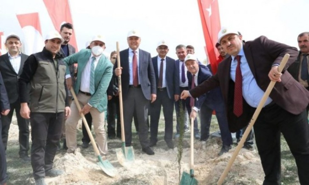 500 FİDAN TOPRAKLA BULUŞTU