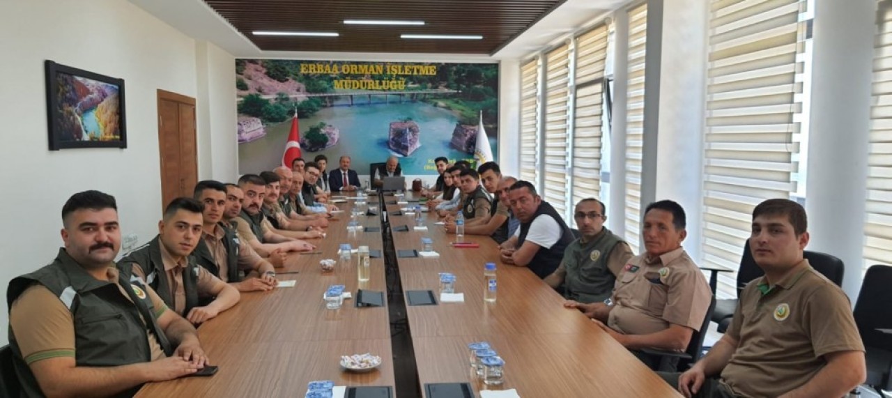 AFFI OLMAYAN TEK SUÇ, ORMAN SUÇUDUR