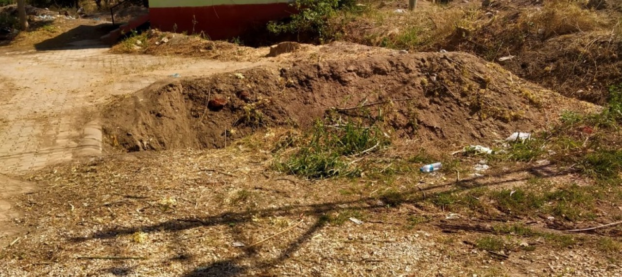 AĞAÇLAR NEDEN KESİLDİ?