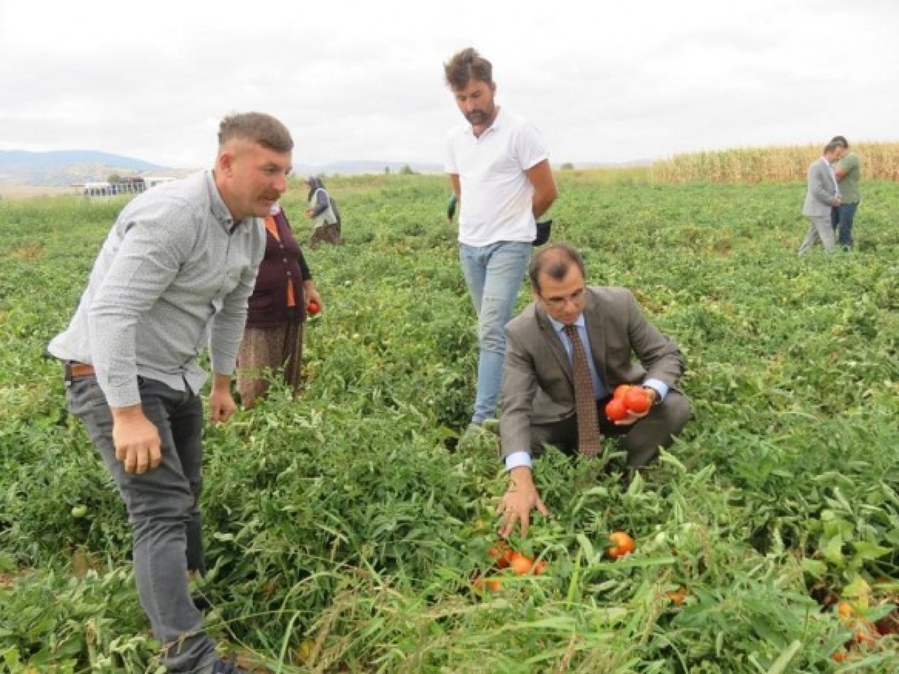 AKTARLA KÖYÜ’NDE TARLA GÜNÜ DÜZENLENDİ