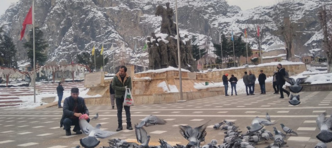 AMASYA BELEDİYESİ SOKAK HAYVANLARINI YALNIZ BIRAKMIYOR