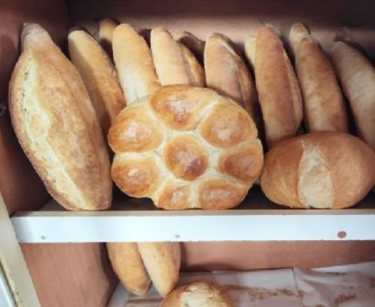 AMASYA’DA EKMEĞE ZAM