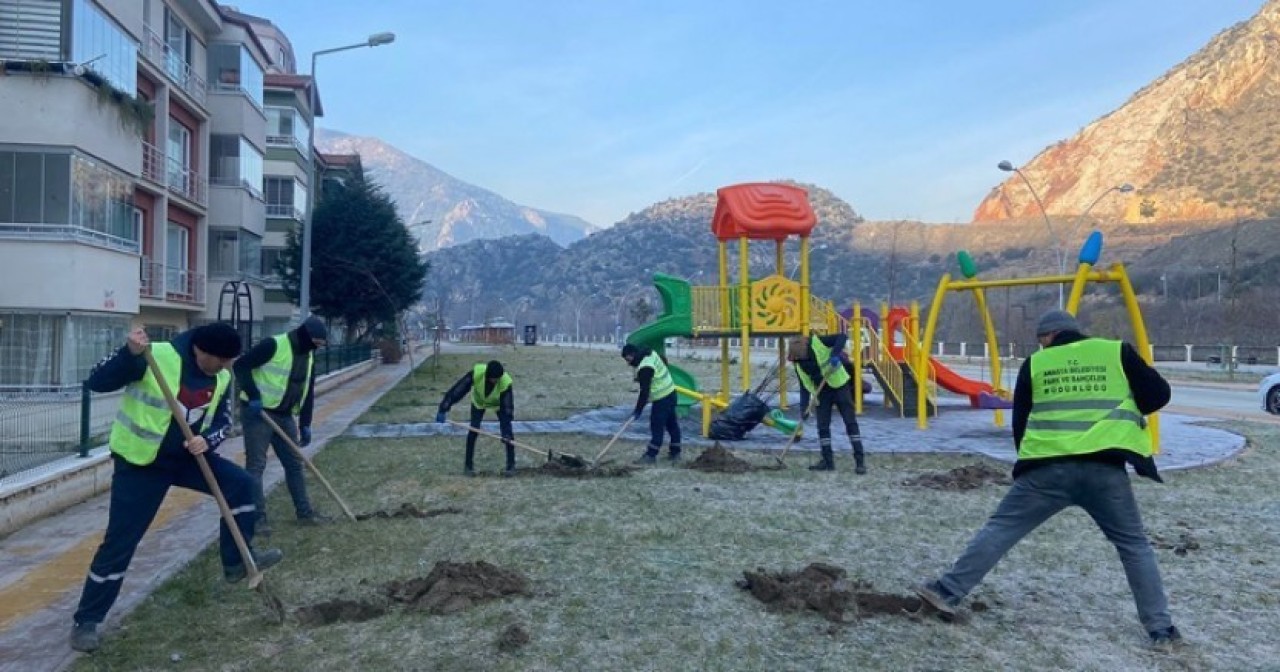 AMASYA ELMA AĞAÇLARIYLA DONATILIYOR