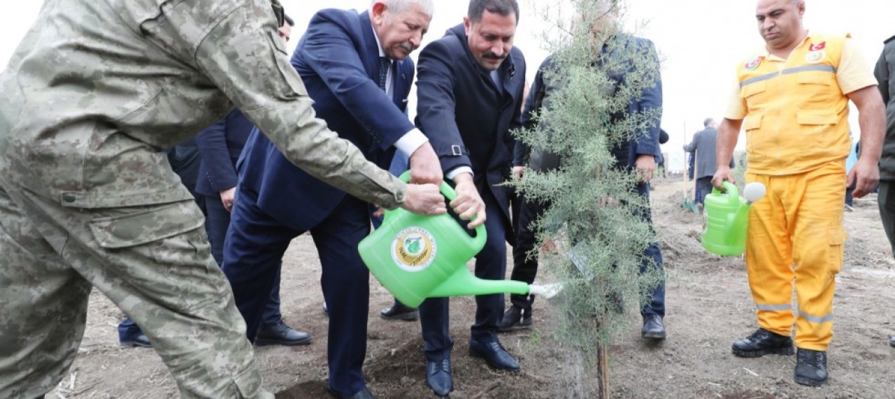 AMASYA GENELİNDE 33 BİN 500 FİDAN DİKİLDİ