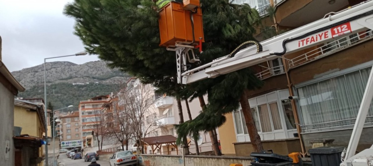 BELEDİYE EKİPLERİ BUDAMA ÇALIŞMALARINI SÜRDÜRÜYOR