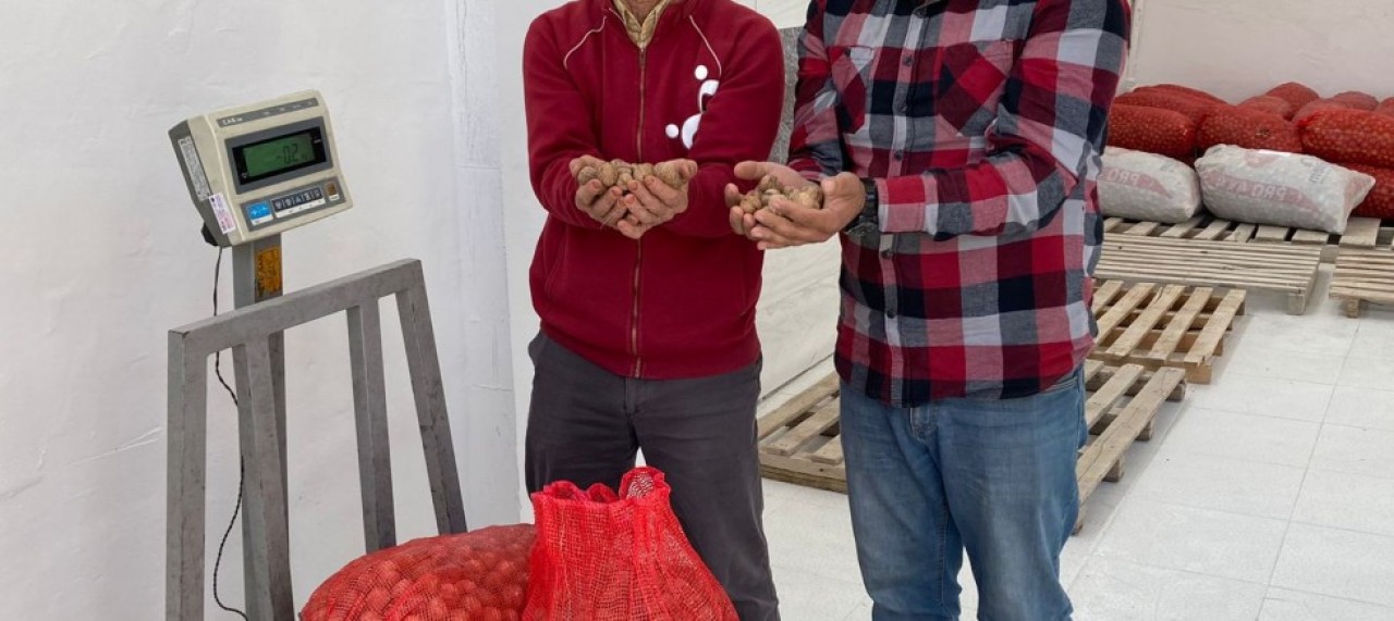 BİRLİK CEVİZ ALIMINA BAŞLADI