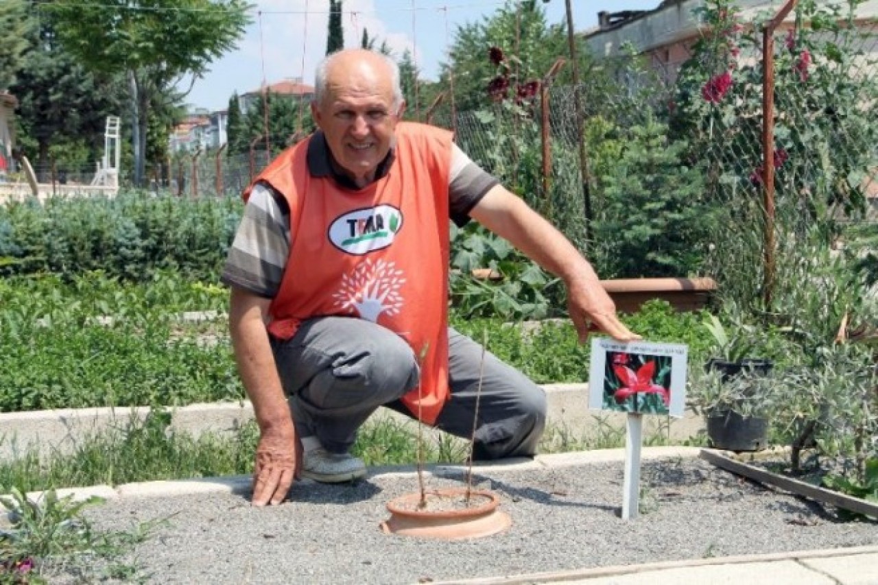 BİYOLOJİK ÇEŞİTLİLİK ÇOK ÖNEMLİ
