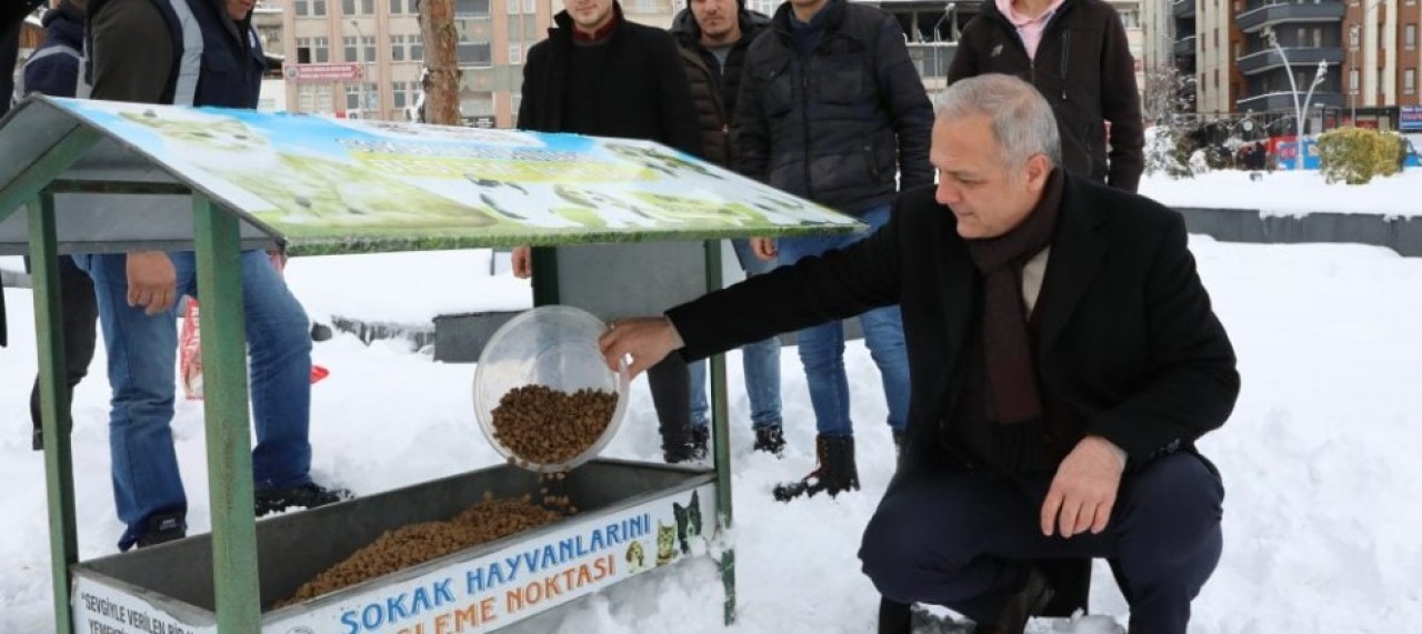 “CAN DOSTLARIMIZ SAHİPSİZ DEĞİLLER, BİZLERE EMANETLER”