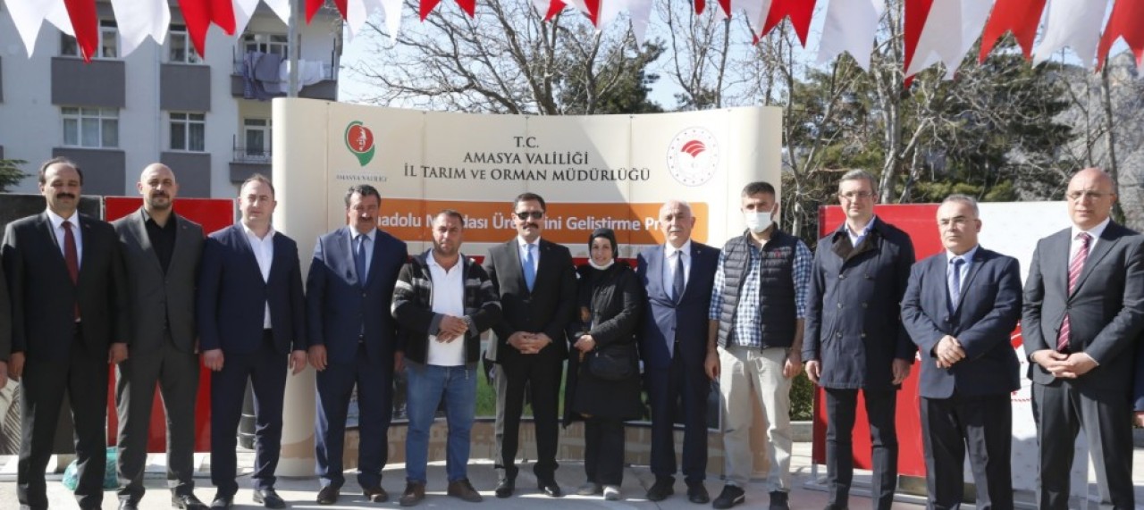 ÇİFTÇİLERE DAMIZLIK MANDA DAĞITILDI