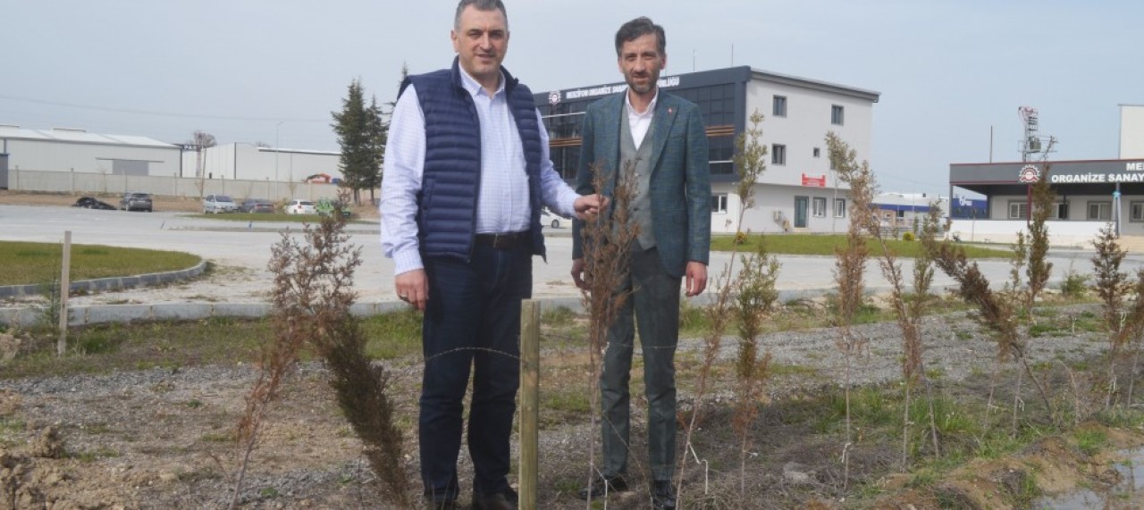 ÇİLEZ, OSB FİDANLIĞINDA İNCELEMELERDE BULUNDU