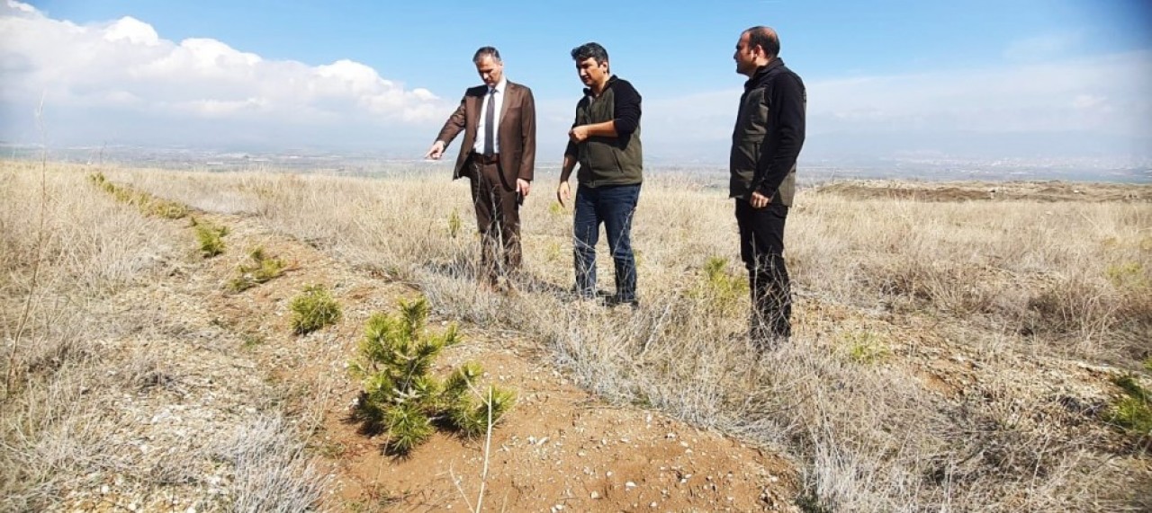 DEPREM ŞEHİTLERİ ANISINA HATIRA ORMANI KURULUYOR