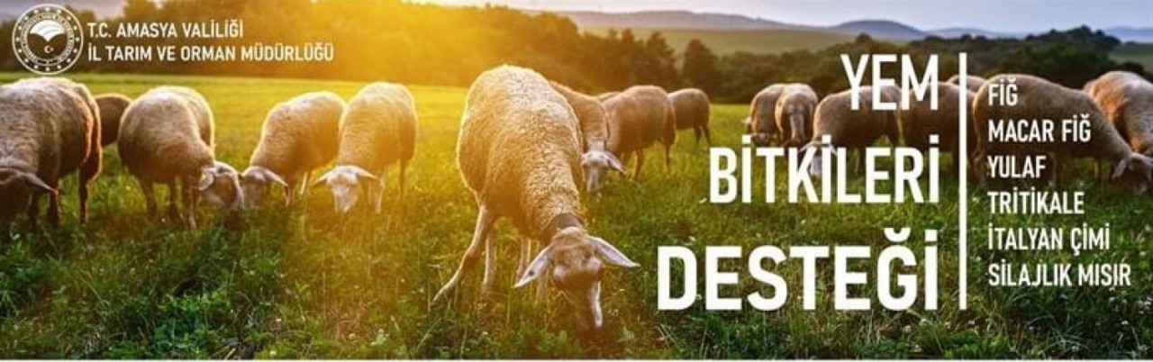 DESTEKLEME DOSYALARINIZI YAPTIRIN