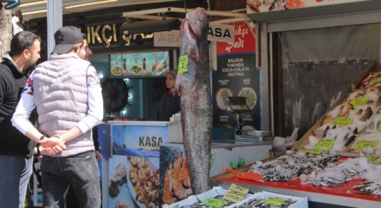 dev balığı görenler şaştı kaldı