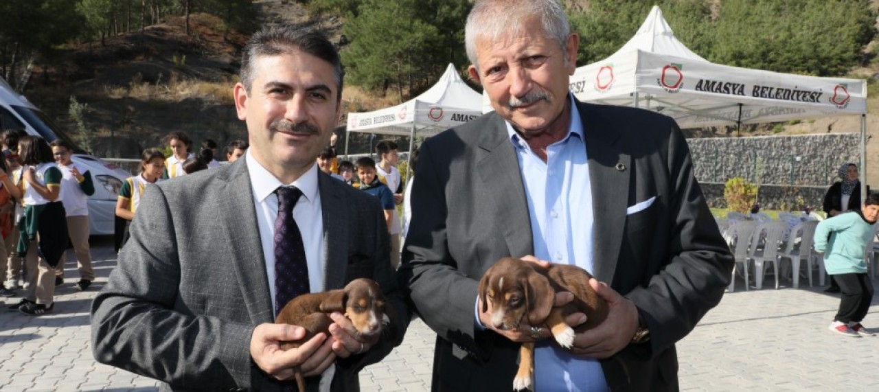 DOKUNULMAZLIK KADINLARA, ÇOCUKLARA VE HAYVANLARA DA VERİLMELİ