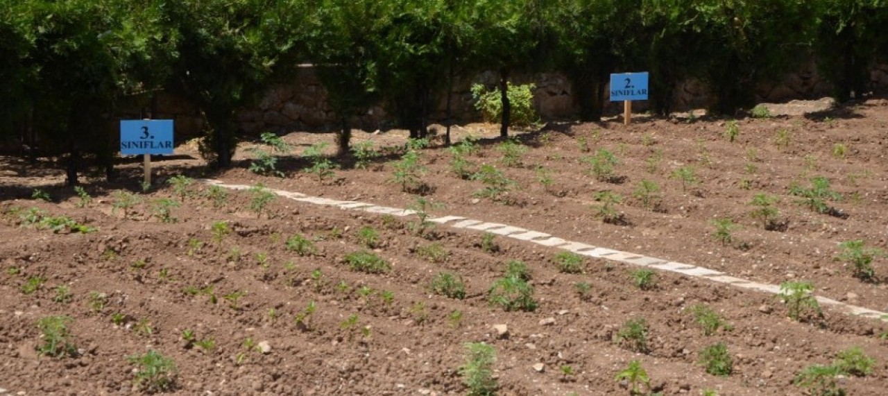 EKOLOJİK TARIM ÇALIŞMALARI İNCELENDİ